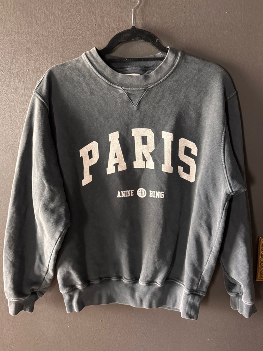 Anine Bing Paris Romona Crewneck Sweatshirt